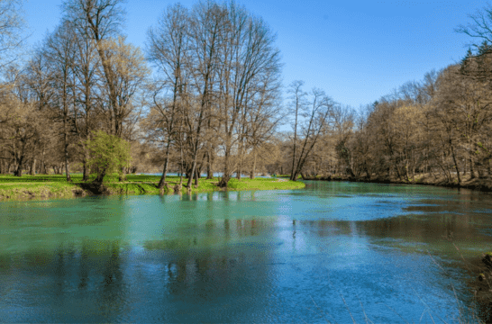 Professional DNA & Drug Testing in Blue Springs, MO